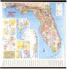 Deluxe Laminated Wall Map of Florida 54