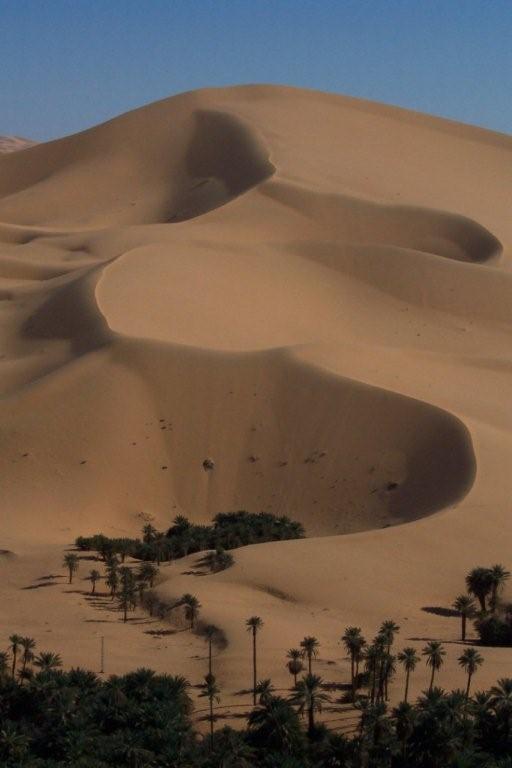 Dunes encroaching on an oasis, Algeria photo