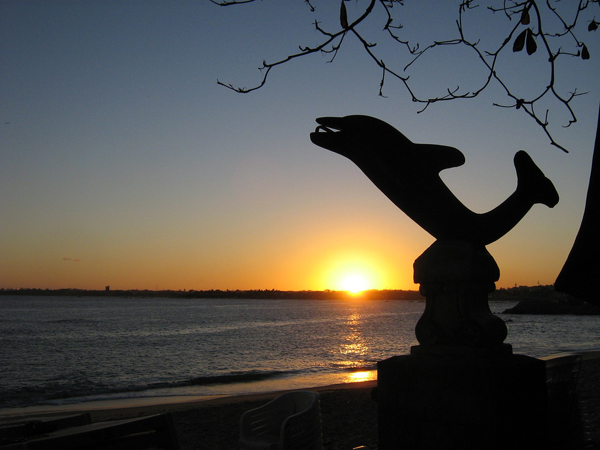 Dolphin statue at Itapua beach, Salvador, Bahia, Brazil photo
