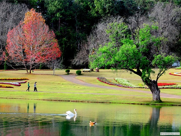 Botanical garden park at Pyin Oo, Mandalay region, Myanmar photo