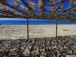 Drying salted fish in the sun, Ngwesaung beach, Myanmar (Burma) Photo