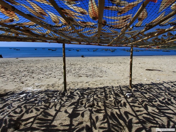 Drying salted fish in the sun, Ngwesaung beach, Myanmar photo