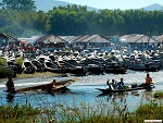 Five days market, Nampan village, Myanmar (Burma) Photo