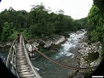 Forest suspension bridge, Kachin state, Myanmar (Burma) Photo