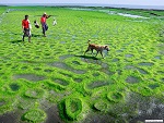 Haingyi island, Ayeyarwaddy division , Myanmar (Burma) Photo