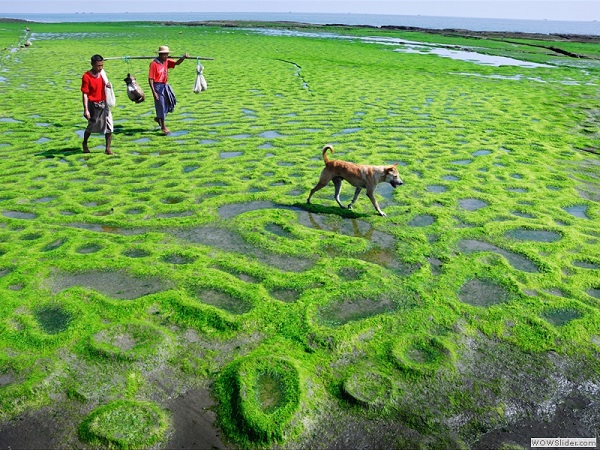 Haingyi island, Ayeyarwaddy division, Myanmar photo