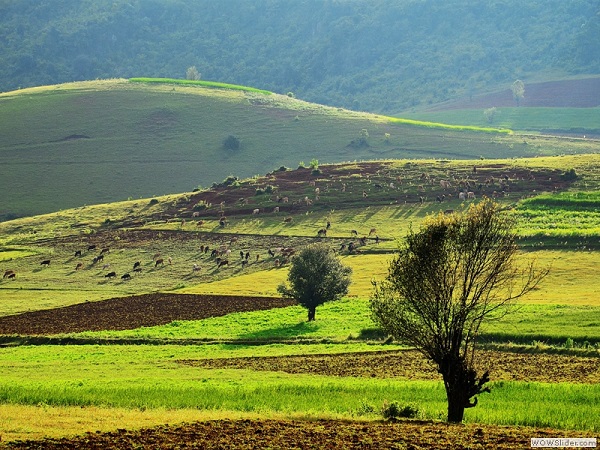 Pindaya, Myanmar photo