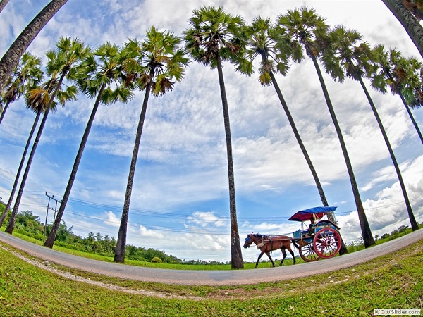 Road to Mawlamyaing, Myanmar photo