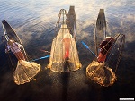 Traditional fishing, Inle lake, Myanmar (Burma) Photo