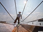 Traditional fishing, Inle, Myanmar (Burma) Photo