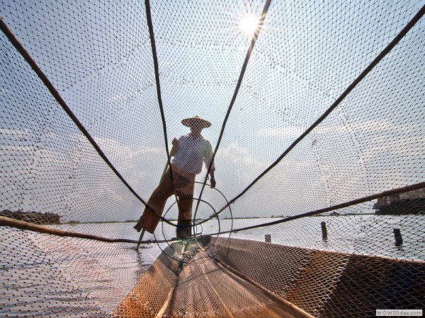 Traditional fishing, Inle lake, Myanmar photo