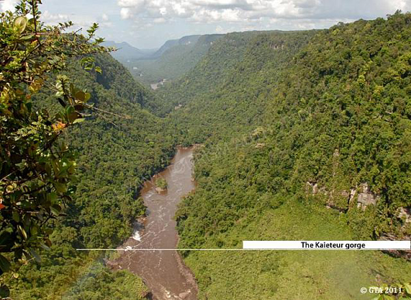 Kaieteur Gorge, Guyana photo