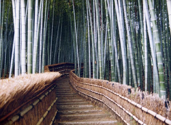 Bamboo stairs, Sagano, Kyoto prefecture, Japan photo