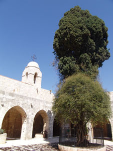 Balamand Monastery, Lebanon Photo