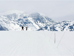 Cross-county skiing, Oppland, Norway photo