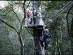 Tree top tours, Tsitsikamma National Park, Eastern Cape province, South Africa photo